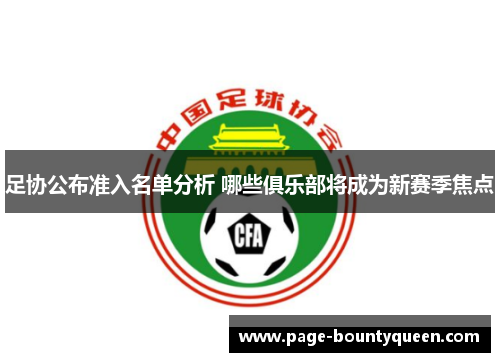 足协公布准入名单分析 哪些俱乐部将成为新赛季焦点