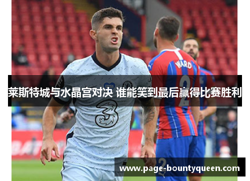 莱斯特城与水晶宫对决 谁能笑到最后赢得比赛胜利 莱斯特城与水晶宫对决 谁能笑到最后赢得比赛胜利